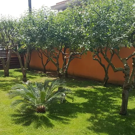 Elema Bed & Breakfast