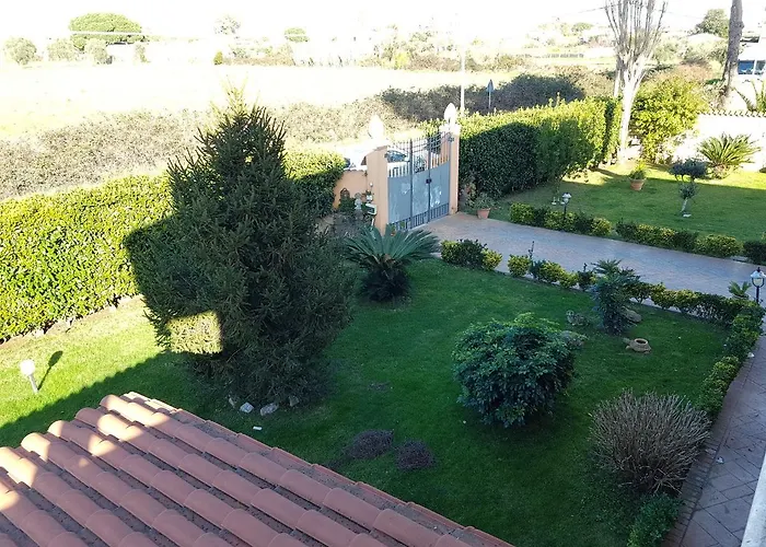 Bed and Breakfast Elema Νετούνο